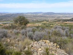 Yacimiento de la Almoloya 2007